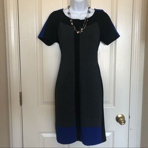 Venus Slimming Color Block Dress